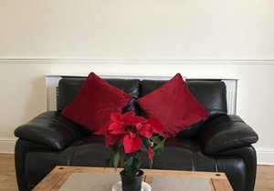 1 Bedroom Modern Apartment, Uplands, Swansea