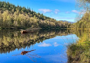 5 bedroom accommodation in Aberfoyle