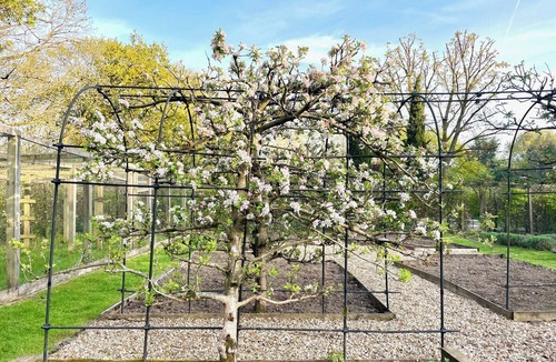 Liphook Cottage | Garden Cottage 2 - UK42882