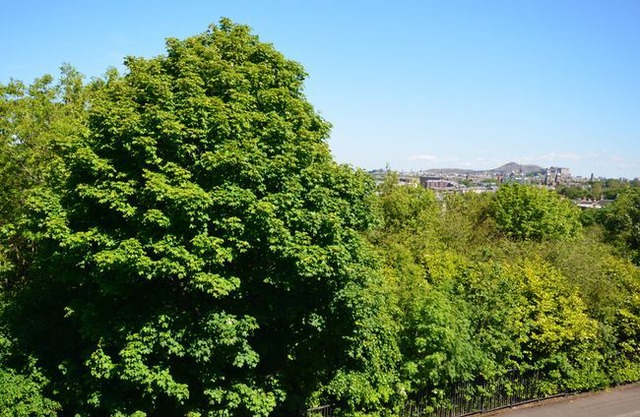 2 bedroom Apartment in Edinburgh - 32048