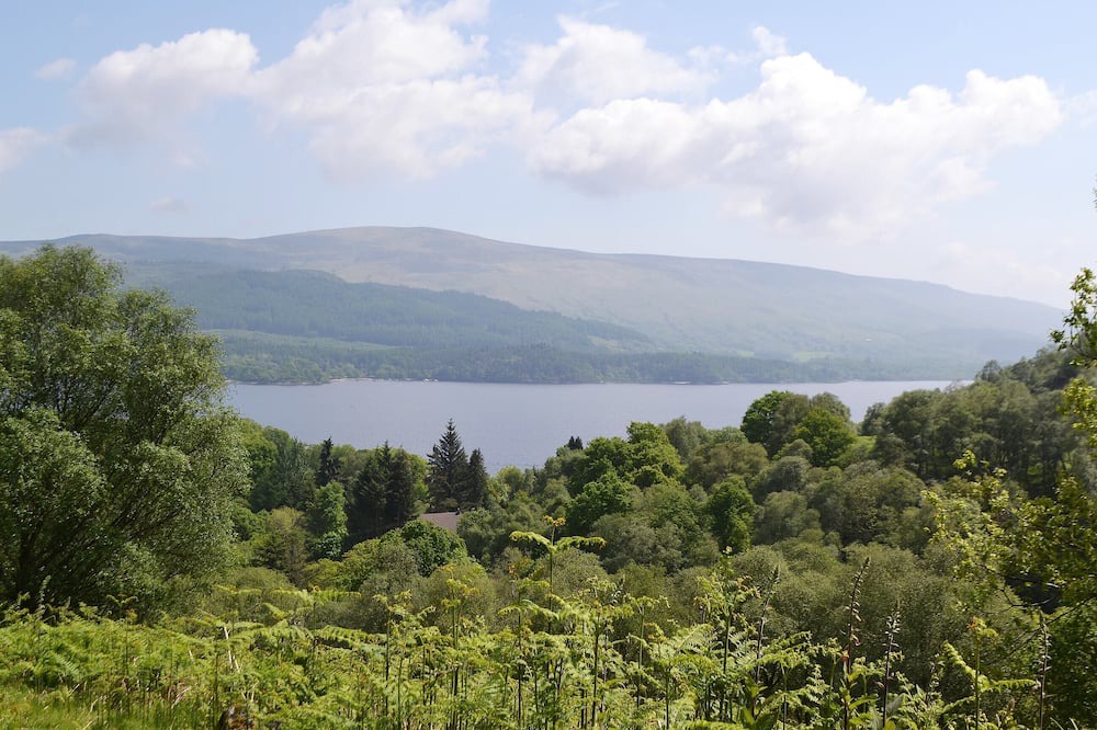 Photo of Outdoor in Balloch