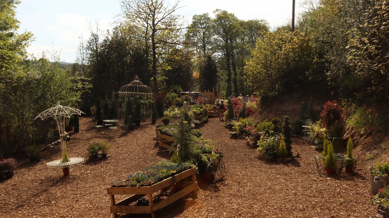 Photo of Others in Beamish