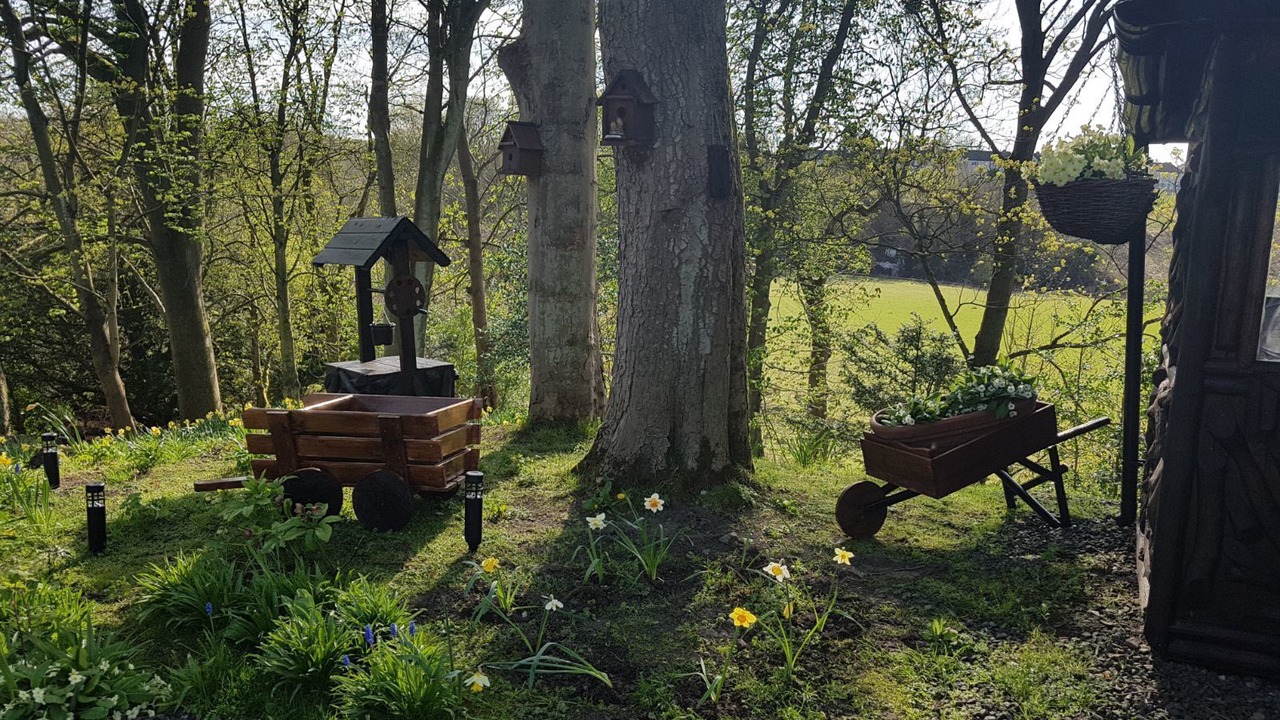 Photo of Outdoor in Wishaw