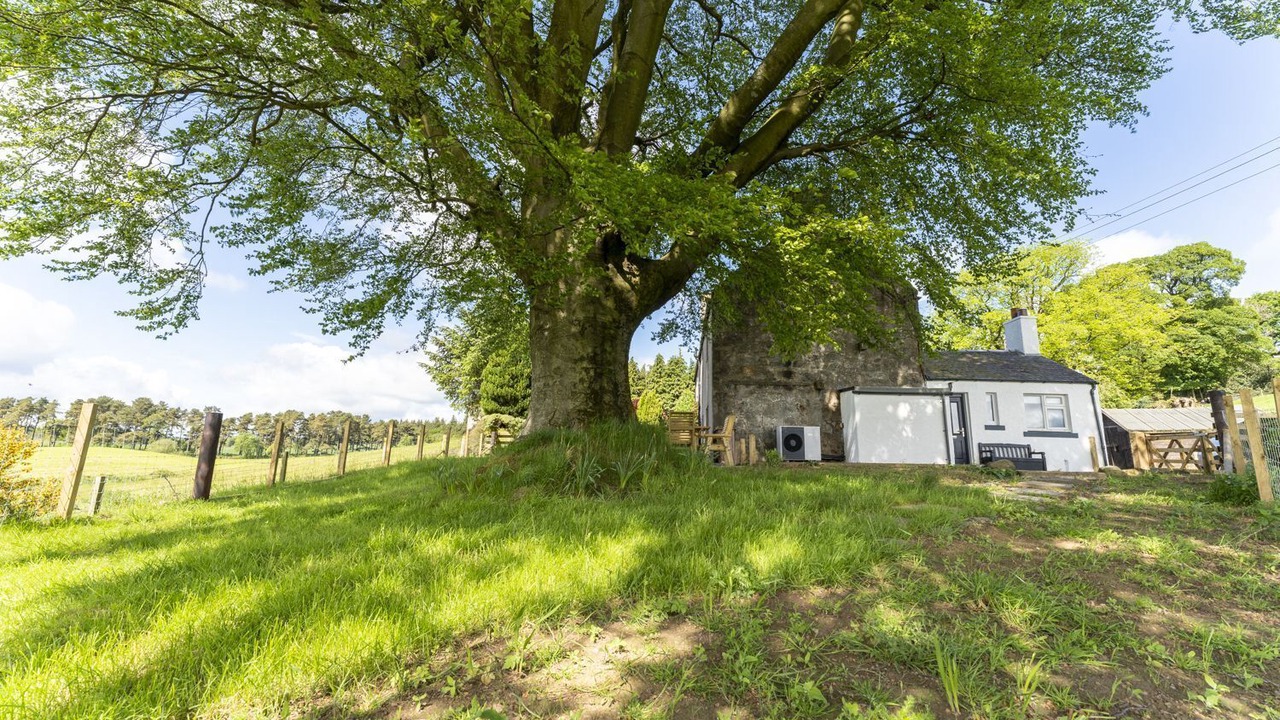 Photo of Outdoor in Falkirk