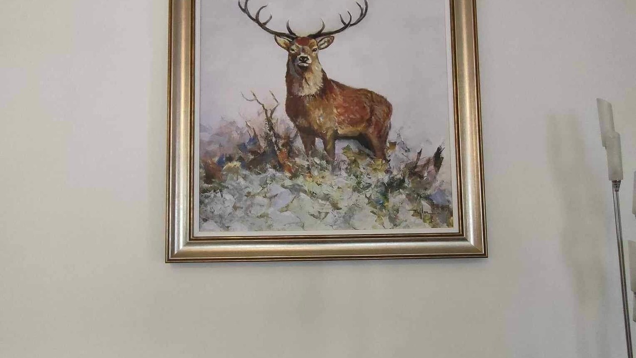 Photo of Others in Balloch