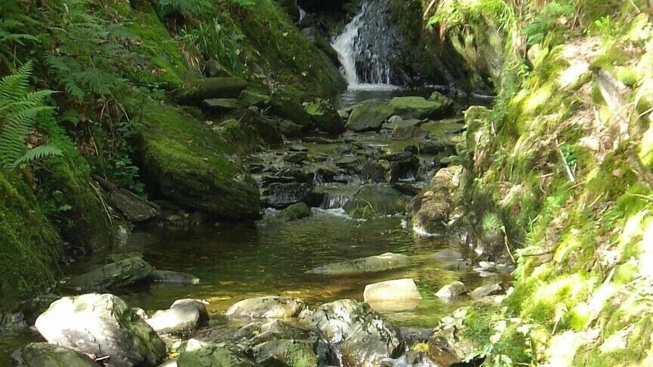 Photo of Others in Kilcreggan
