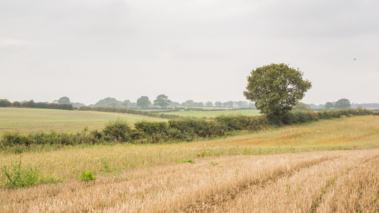 Photo of Others in Kibblesworth